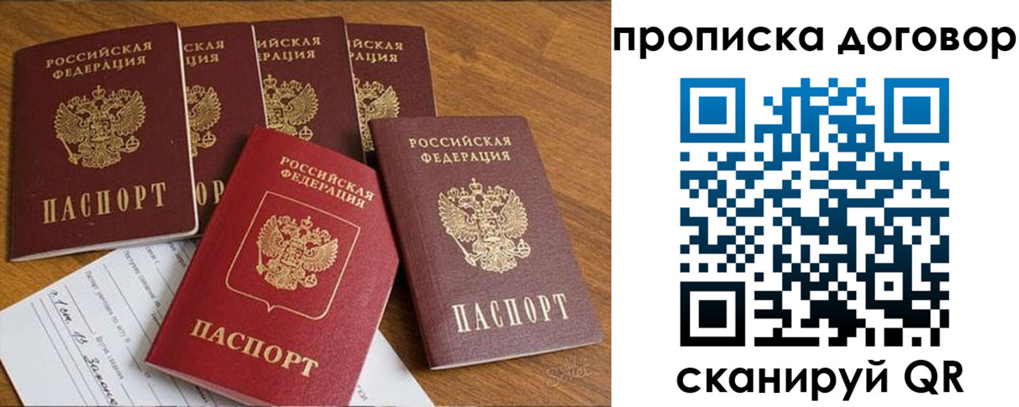 прописка законно в Оленегорске