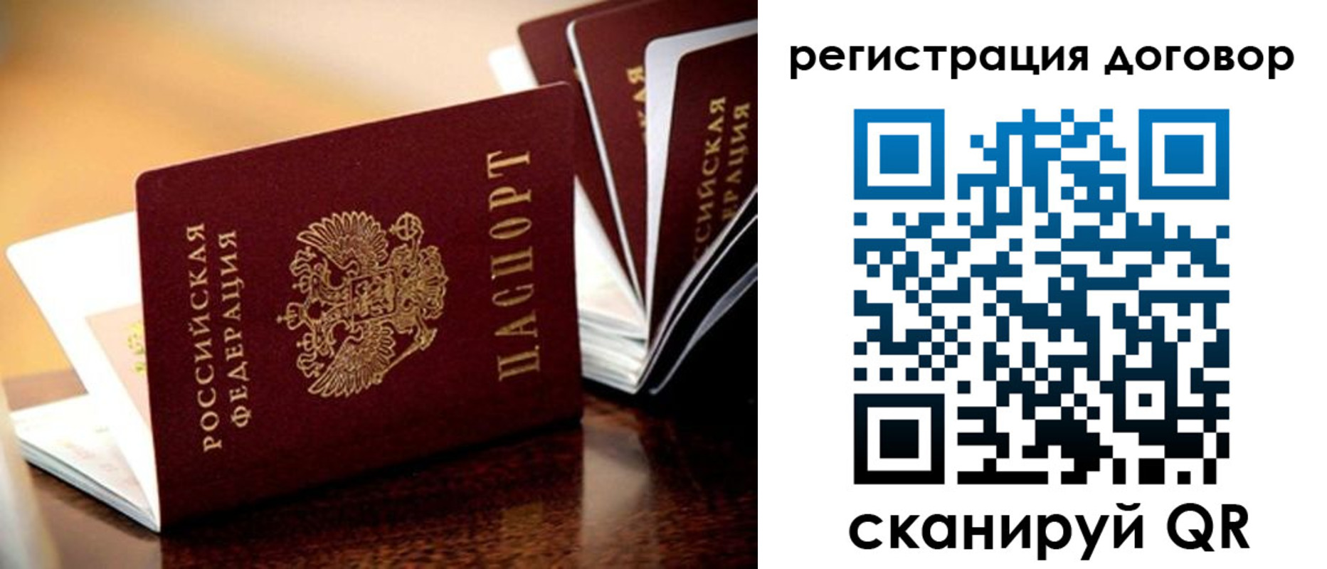 временная регистрация гарантия в Оленегорске